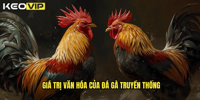 Giá trị văn hóa của đá gà truyền thống