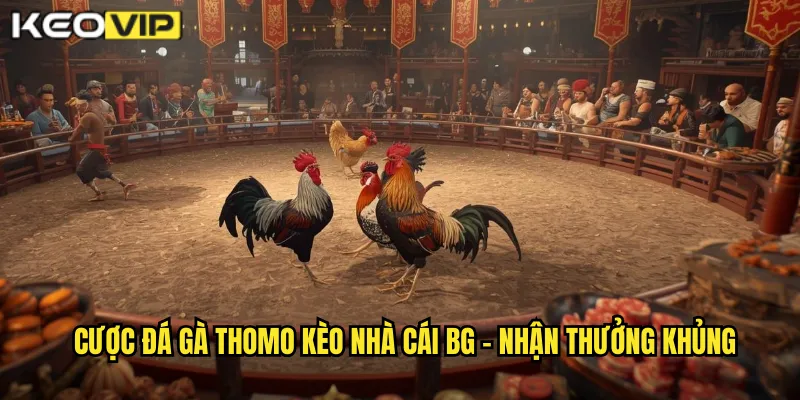 Đá Gà Thomo - Trực Tiếp Sống Động Nhất Tại kèo nhà cái bg 2 Cược đá gà thomo kèo nhà cái bg - Nhận thưởng khủng