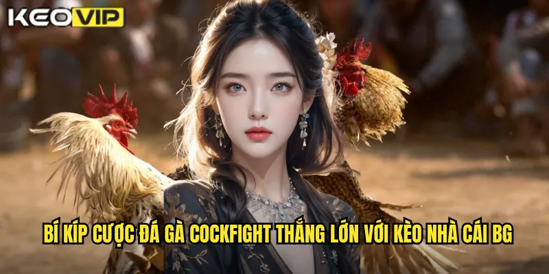 Đá Gà Cockfight Quốc Tế - Đẳng Cấp Cá Cược Tại kèo nhà cái bg 2 Bí kíp cược đá gà Cockfight thắng lớn với kèo nhà cái bg