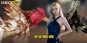 đá gà mộc hóa