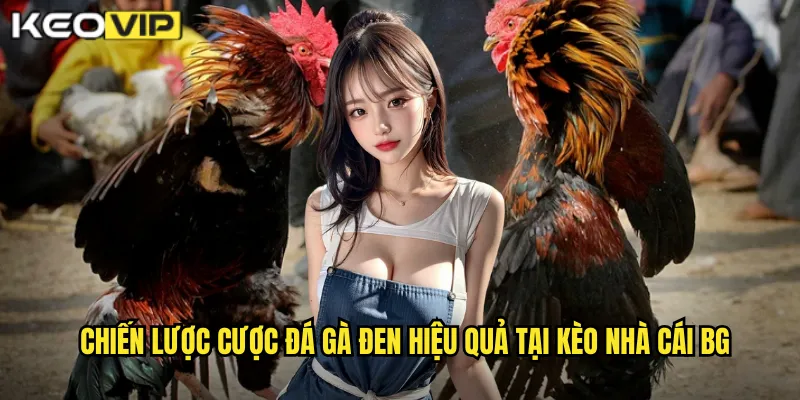 Đá Gà Đen - Chiến Binh Bất Bại Cùng kèo nhà cái bg 2 Chiến lược cược đá gà đen hiệu quả tại kèo nhà cái bg