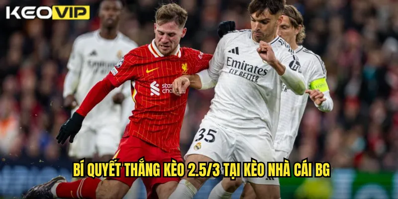 Bí quyết thắng kèo 2.5/3 tại kèo nhà cái bg
