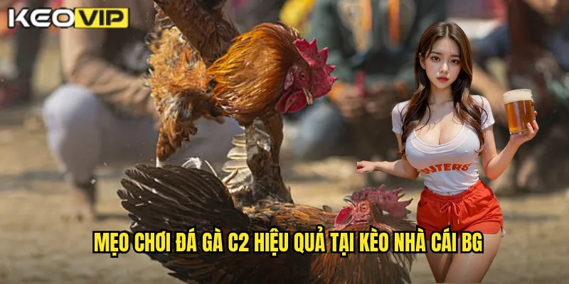 Mẹo chơi đá gà c2 hiệu quả tại kèo nhà cái bg