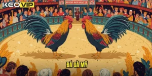 đá gà Mỹ