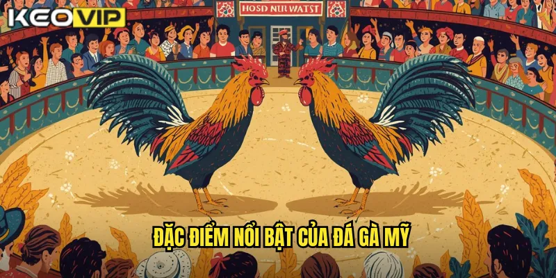Đá Gà Mỹ - Phong Cách Chiến Đấu Đẳng Cấp Tại kèo nhà cái bg 1 Đặc điểm nổi bật của đá gà Mỹ