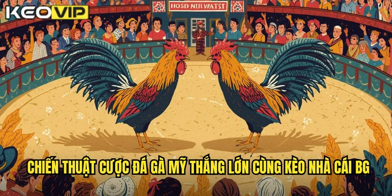 Đá Gà Mỹ - Phong Cách Chiến Đấu Đẳng Cấp Tại kèo nhà cái bg 2 Chiến thuật cược đá gà Mỹ thắng lớn cùng kèo nhà cái bg